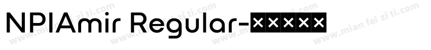 NPIAmir Regular字体转换
